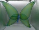 teen butterfly wings Lite Green With Blue Accent's